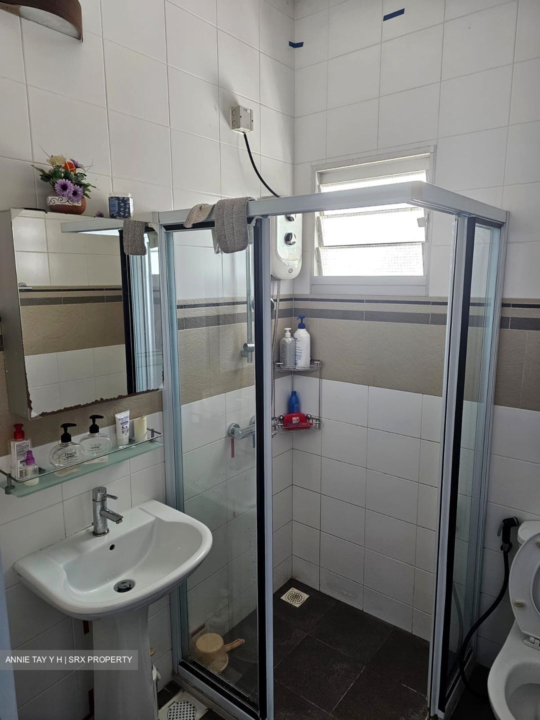 Commonwealth Drive (Queenstown),  #397821641